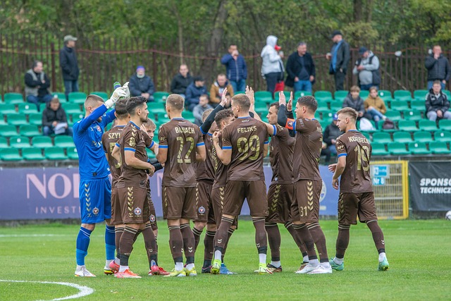 地位毋庸置 地位毋庸置